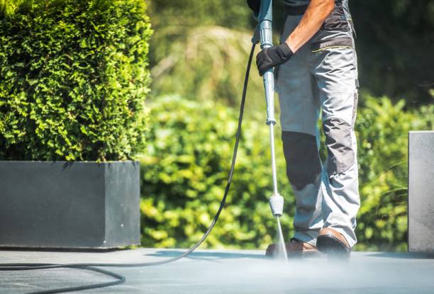 Best Building Exterior Washing  in Lewiston, CA