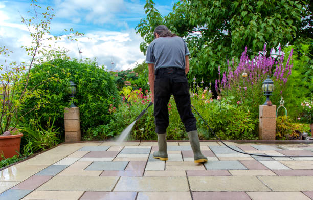 Best Animal Enclosure Cleaning  in Lewiston, CA
